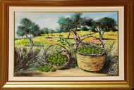 Raccolta-delle-Olive_tn